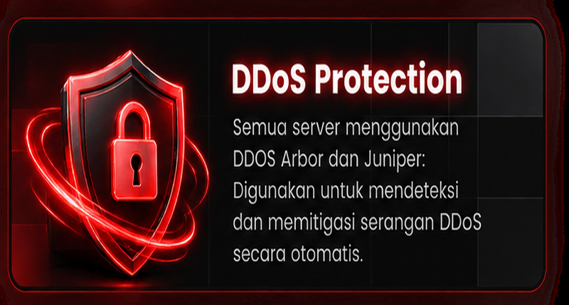 DDoS Protection