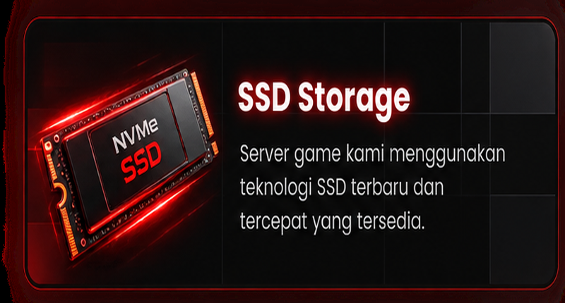 SSD Storage